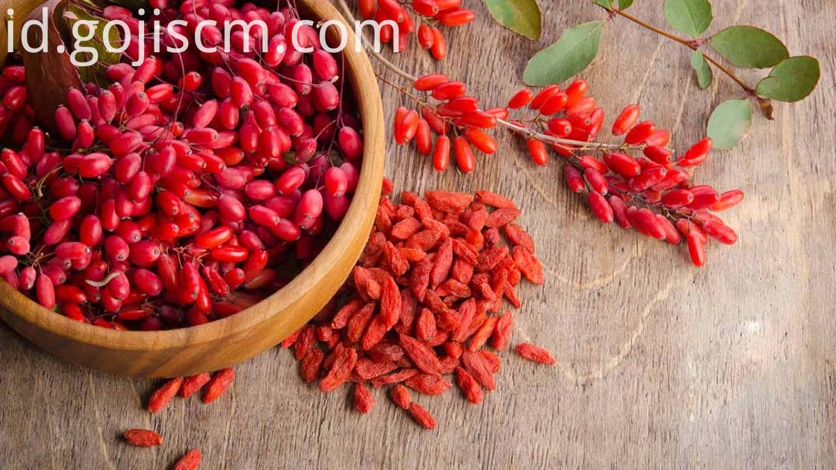 Jus Goji botol Bottled Goji Juice